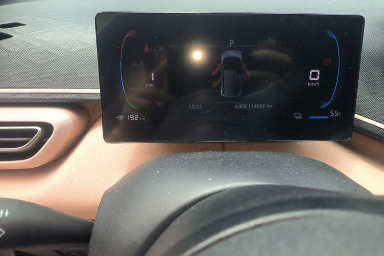 Used BYD Seagull 2023 Flying Edition Odometer Close Up