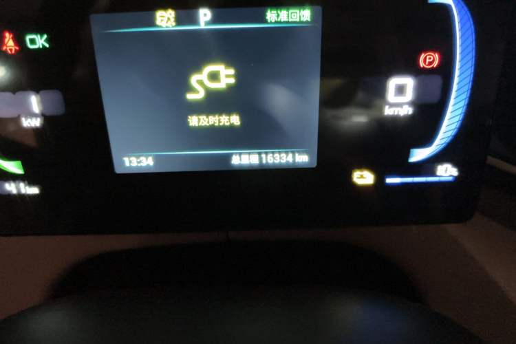 Used BYD Seagull 2023 Flying Edition Odometer Close Up