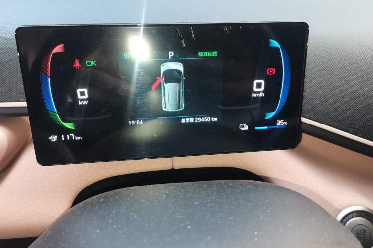 Used BYD Seagull 2023 Flying Edition Odometer Close Up
