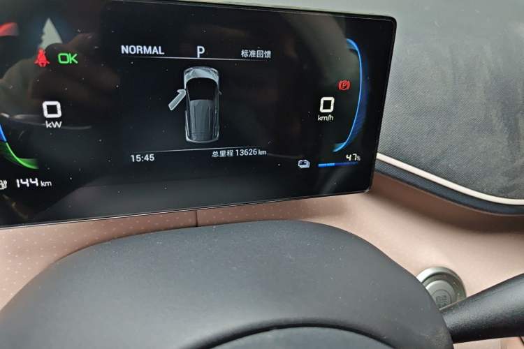 Used BYD Seagull 2023 Free Edition Odometer Close Up