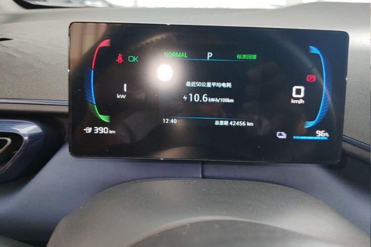 Used BYD Seagull 2023 Flying Edition Odometer Close Up