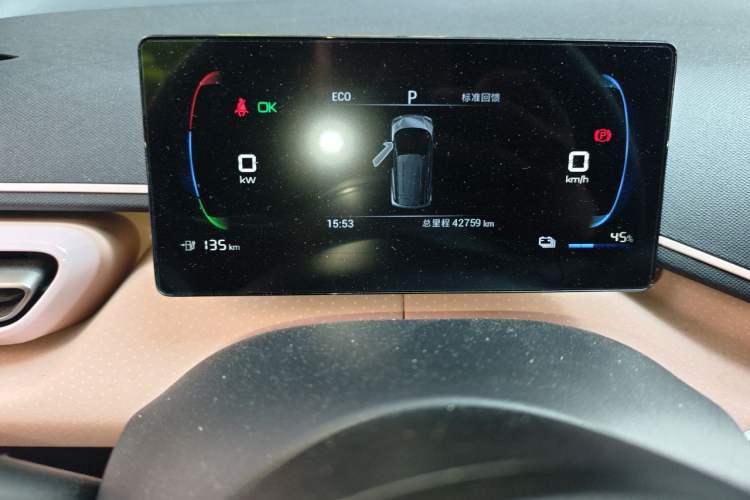 Used BYD Seagull 2023 Active Version Odometer Close Up