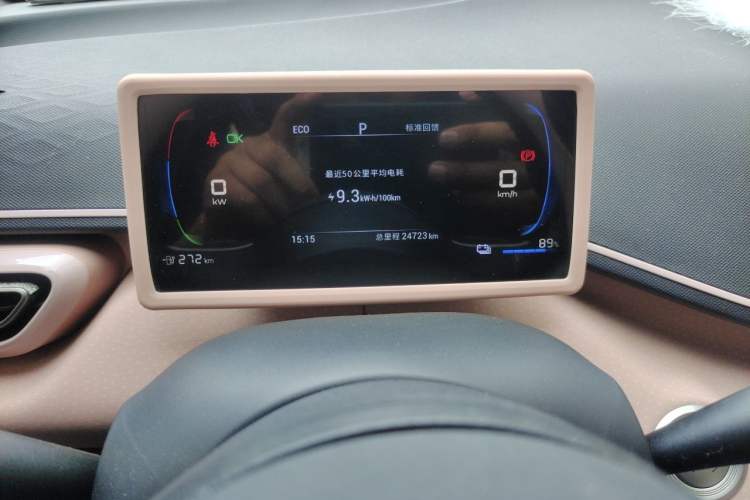 Used BYD Seagull 2023 Free Edition Odometer Close Up