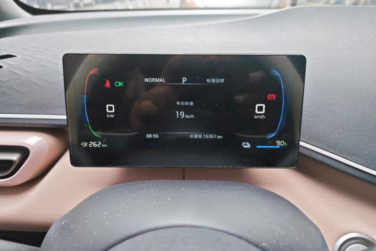 Used BYD Seagull 2023 Free Edition Odometer Close Up