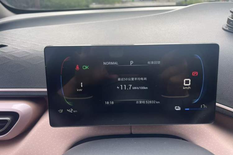 Used BYD Seagull 2023 Active Version Odometer Close Up