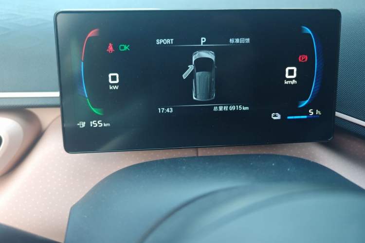 Used BYD Seagull 2023 Free Edition Odometer Close Up