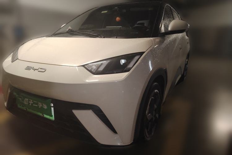 Used BYD Seagull 2023 Free Edition Guazi used car, China used car export, Used car for sale, Used cars, Cheapest cars for sale
