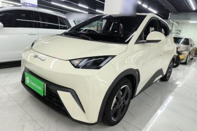 Used BYD Seagull 2023 Flying Edition