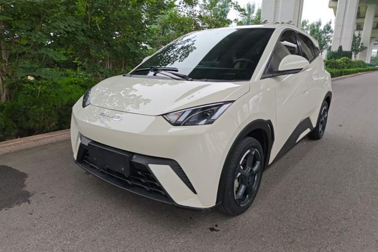 Used BYD Seagull 2023 Free Edition Guazi used car, China used car export, Used car for sale, Used  cars, Cheapest cars for sale