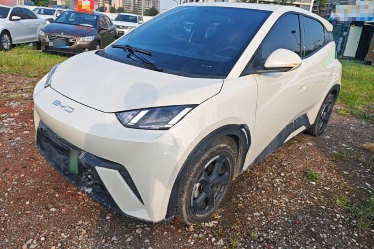 BYD Seagull 2023 Free Edition usata Guazi used car, China used car export, Used car for sale, Used  cars, Cheapest cars for sale