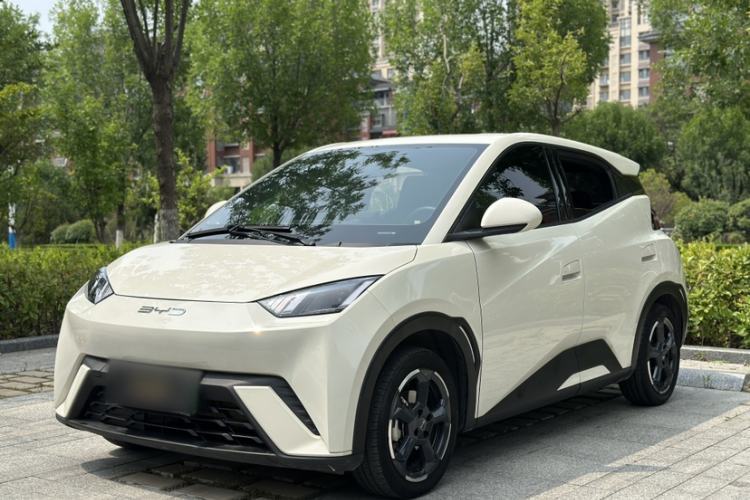 Used BYD Seagull 2023 Flying Edition Guazi used car, China used car export, Used car for sale, Used  cars, Cheapest cars for sale