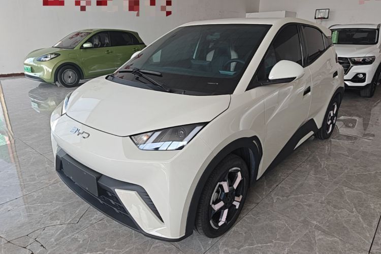 Used BYD Seagull 2023 Free Edition Guazi used car, China used car export, Used car for sale, Used  cars, Cheapest cars for sale
