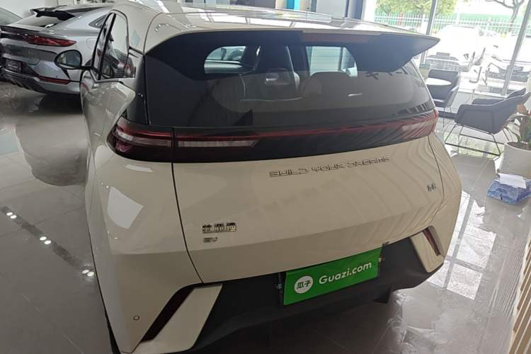Used BYD Seagull 2023 Flying Edition Rear