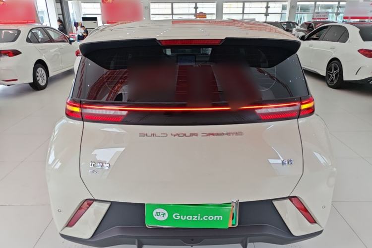 Used BYD Seagull 2023 Free Edition Rear