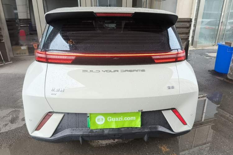 Used BYD Seagull 2023 Free Edition Rear