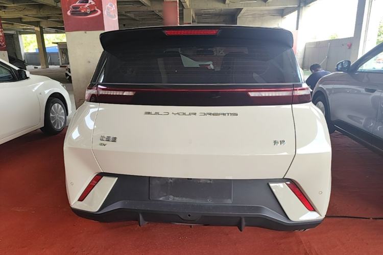 Used BYD Seagull 2023 Free Edition Rear
