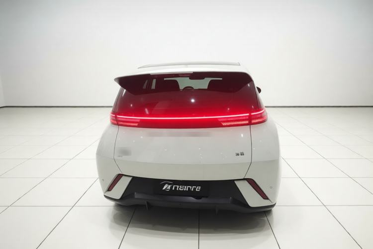 Used BYD Seagull 2023 Flying Edition Rear