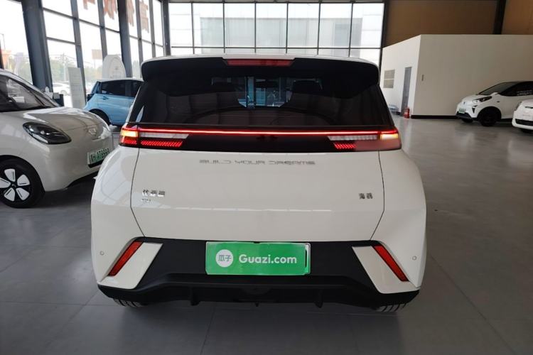 Used BYD Seagull 2023 Free Edition Rear