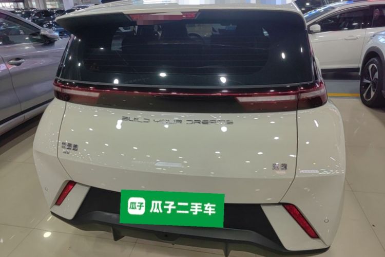 Used BYD Seagull 2023 Free Edition Rear