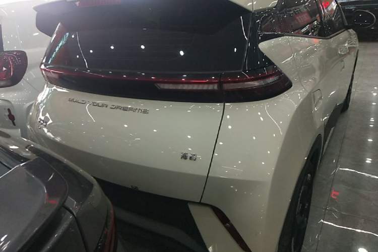 Used BYD Seagull 2023 Free Edition Rear