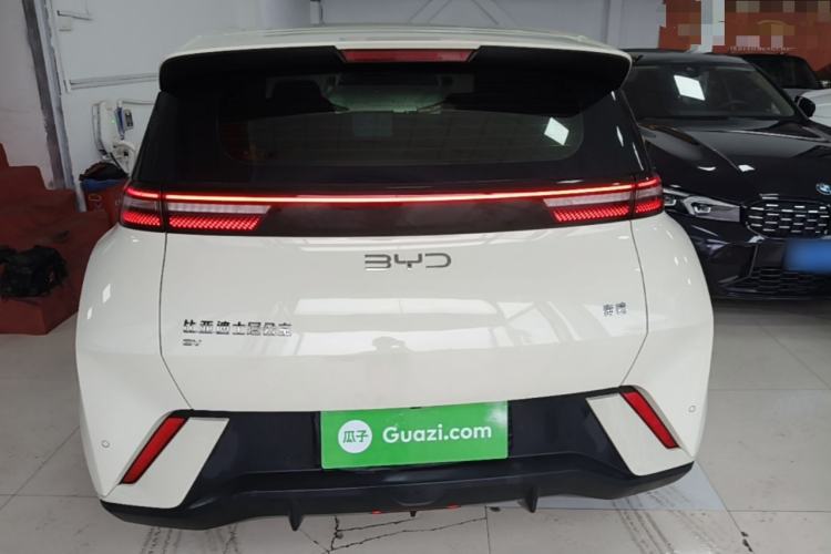 Used BYD Seagull 2023 Free Edition Rear