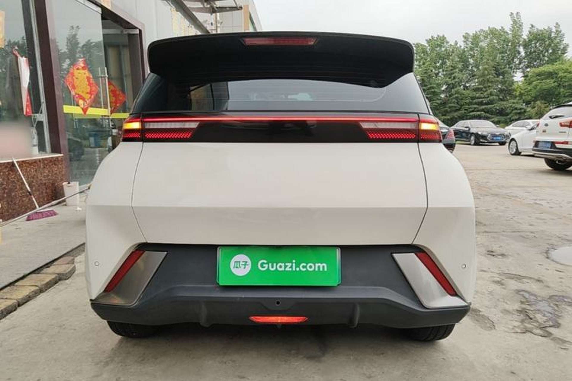 Used BYD Seagull 2023 Flying Edition Rear