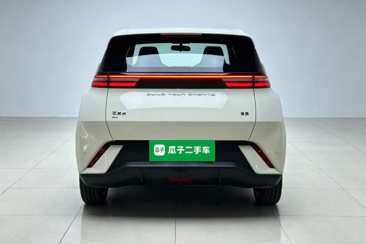 Used BYD Seagull 2023 Free Edition Rear