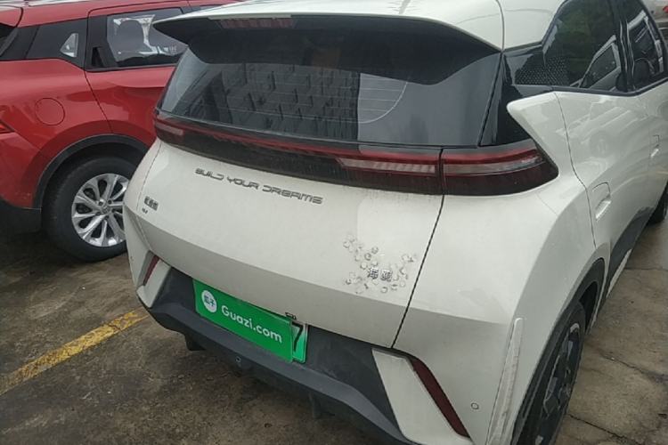 Used BYD Seagull 2023 Free Edition Rear