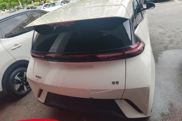 Used BYD Seagull 2023 Free Edition Rear