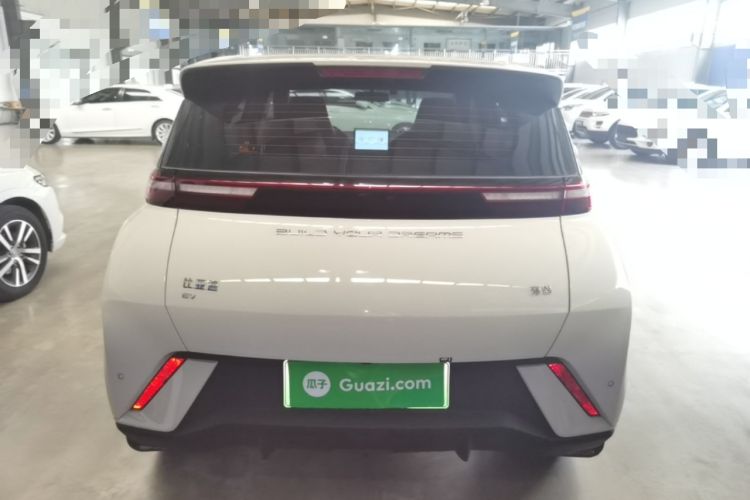 Used BYD Seagull 2023 Free Edition Rear
