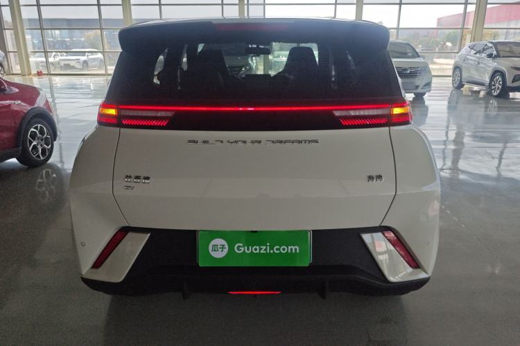 Used BYD Seagull 2023 Free Edition Rear