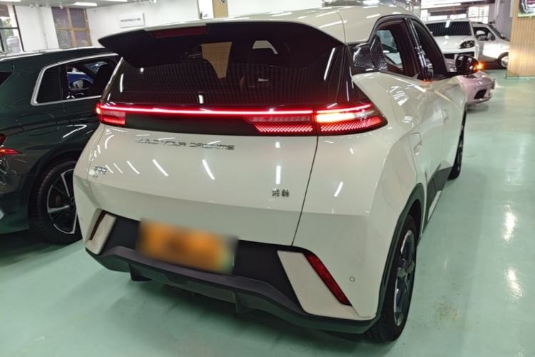 Used BYD Seagull 2023 Free Edition Rear