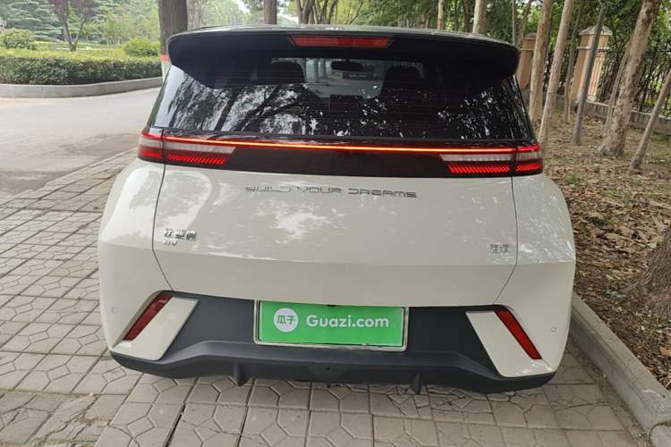 Used BYD Seagull 2023 Free Edition Rear