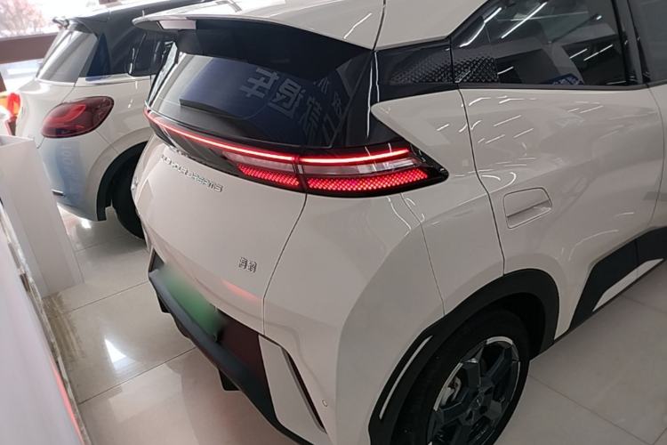 Used BYD Seagull 2023 Free Edition Rear