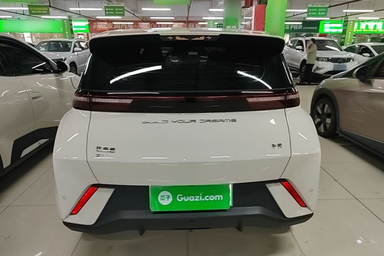 Used BYD Seagull 2023 Free Edition Rear