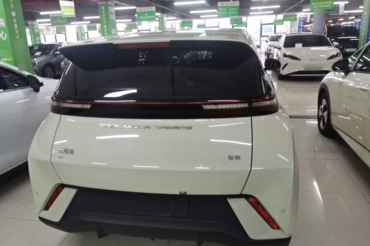 Used BYD Seagull 2023 Free Edition Rear
