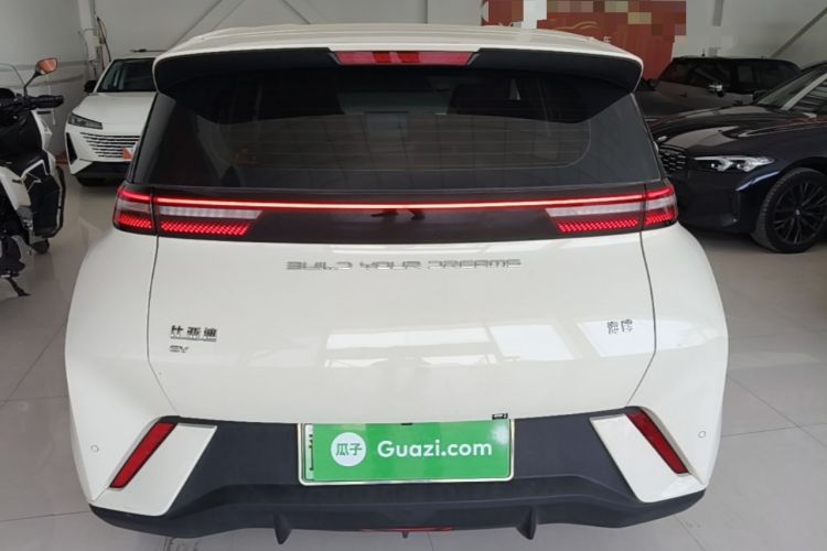 Used BYD Seagull 2023 Flying Edition Rear