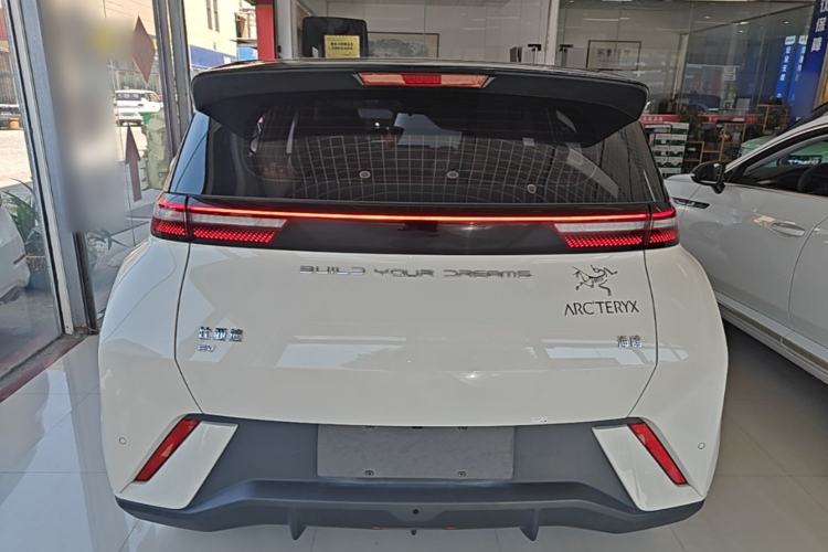 Used BYD Seagull 2023 Flying Edition Rear