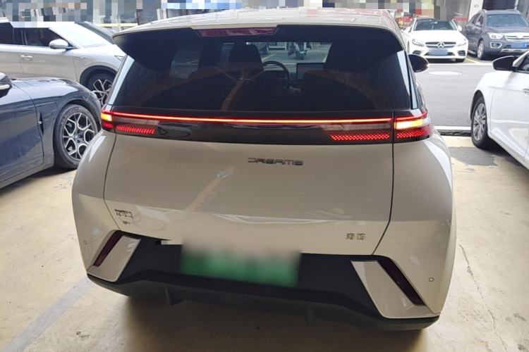 Used BYD Seagull 2023 Flying Edition Rear