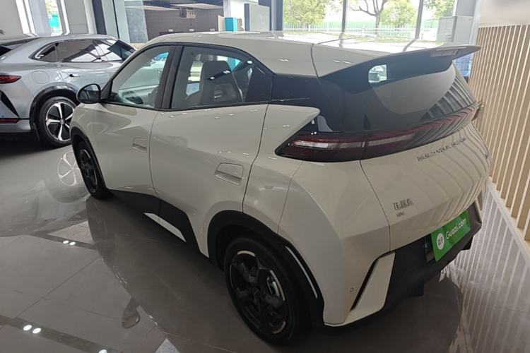 Used BYD Seagull 2023 Flying Edition Rear Left 45 Deg