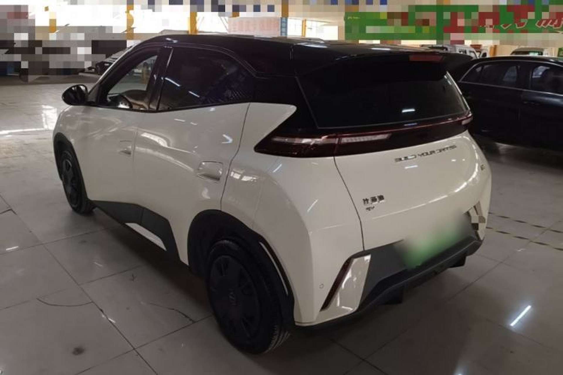 Used BYD Seagull 2023 Active Version Rear Left 45 Deg