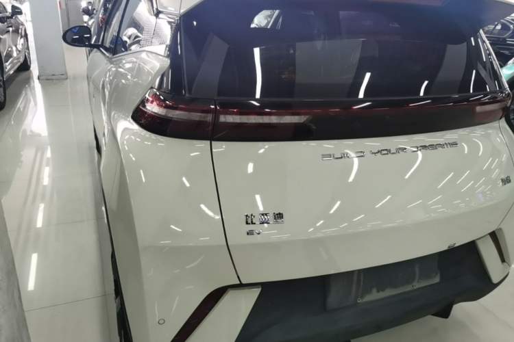 Used BYD Seagull 2023 Flying Edition Rear Left 45 Deg