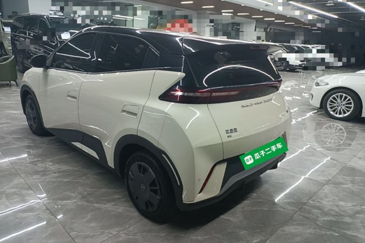 Used BYD Seagull 2023 Active Version Rear Left 45 Deg