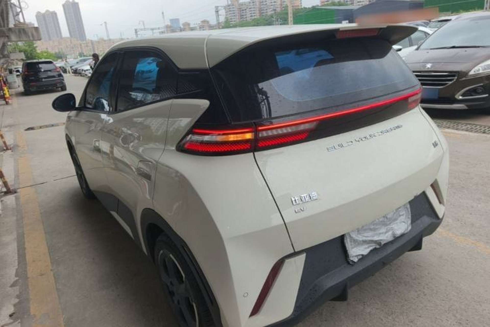 Used BYD Seagull 2023 Flying Edition Rear Left 45 Deg