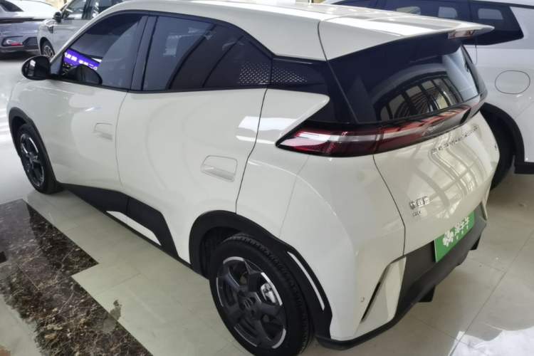 Used BYD Seagull 2023 Flying Edition Rear Left 45 Deg