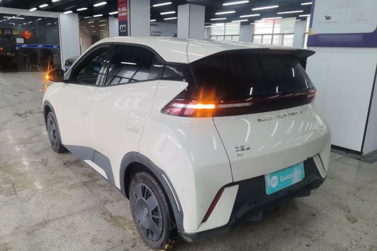 Used BYD Seagull 2023 Active Version Rear Left 45 Deg