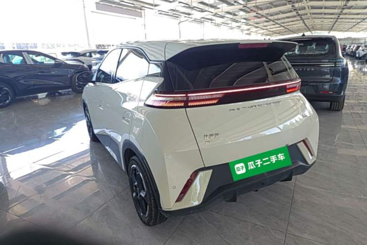 Used BYD Seagull 2023 Flying Edition Rear Left 45 Deg
