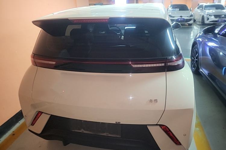 Used BYD Seagull 2023 Free Edition Rear