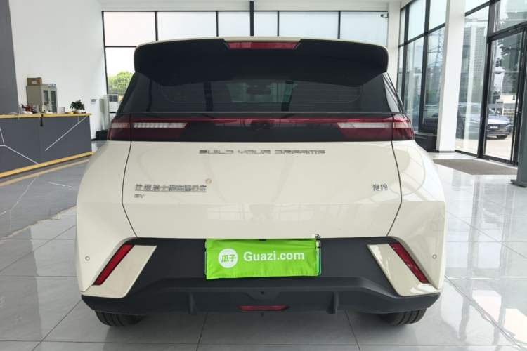 Used BYD Seagull 2023 Free Edition Rear