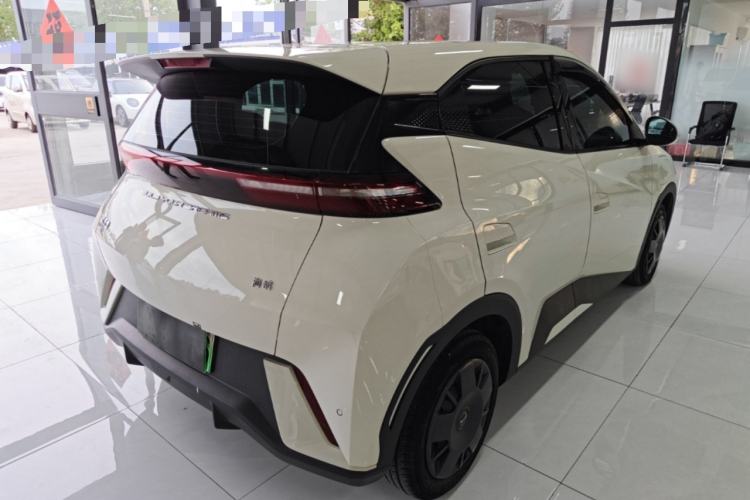 Used BYD Seagull 2023 Active Version Rear Right 45 Deg